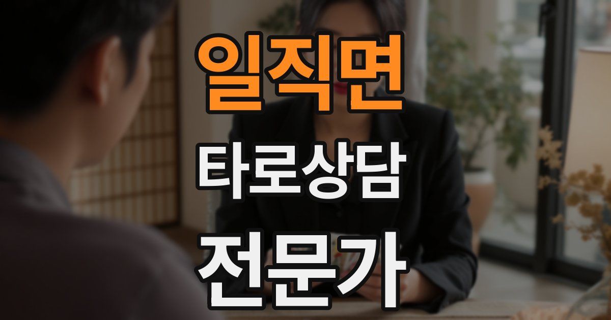 일직면 타로상담전문가 자격증