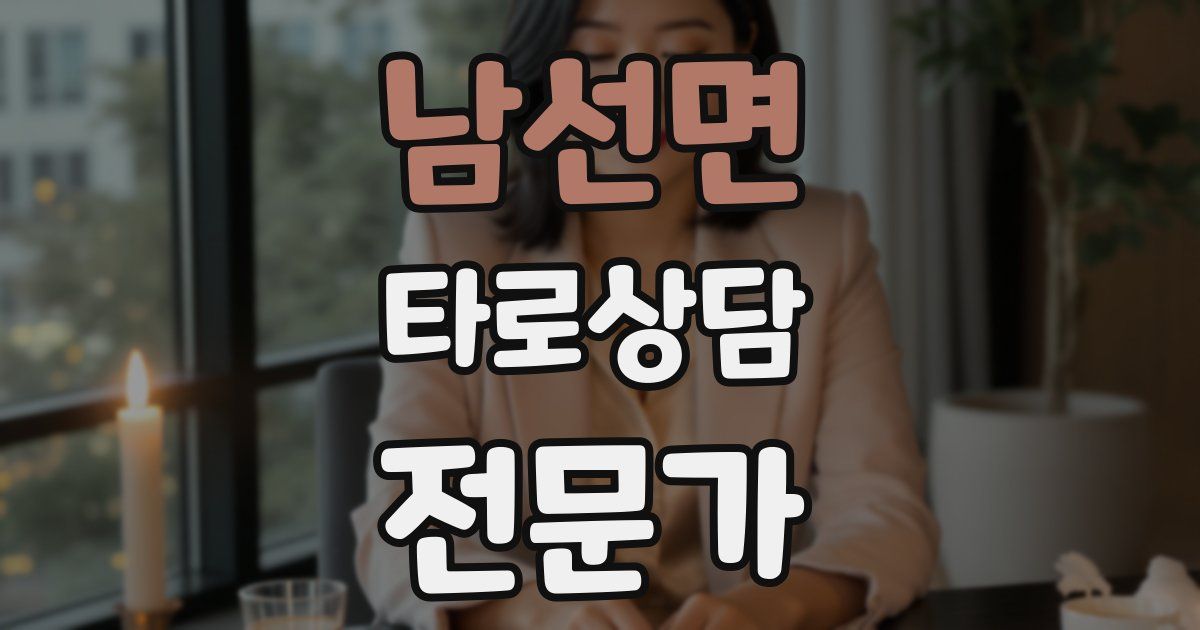 남선면 타로상담전문가 자격증