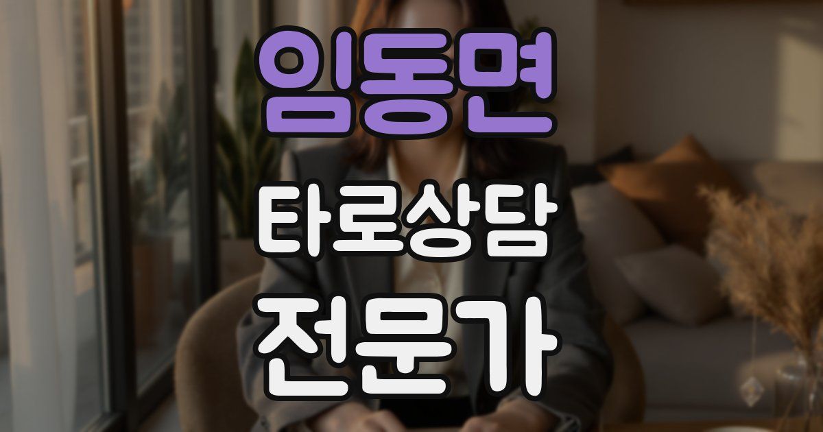 임동면 타로상담전문가 자격증