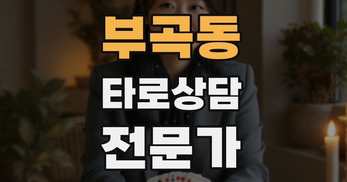 부곡동 타로상담전문가 자격증