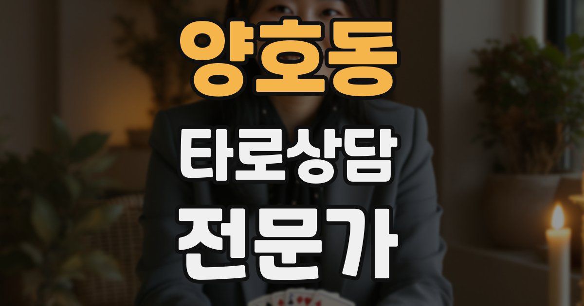 양호동 타로상담전문가 자격증