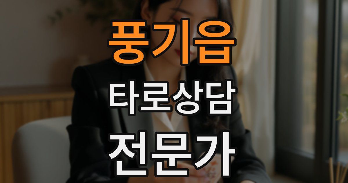 풍기읍 타로상담전문가 자격증