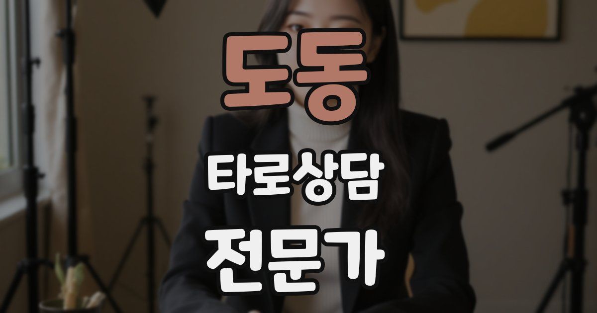 도동 타로상담전문가 자격증