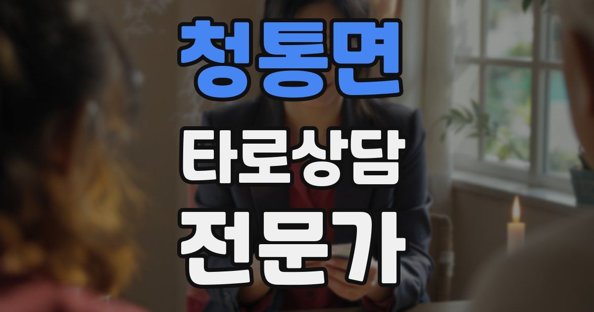 청통면 타로상담전문가 자격증