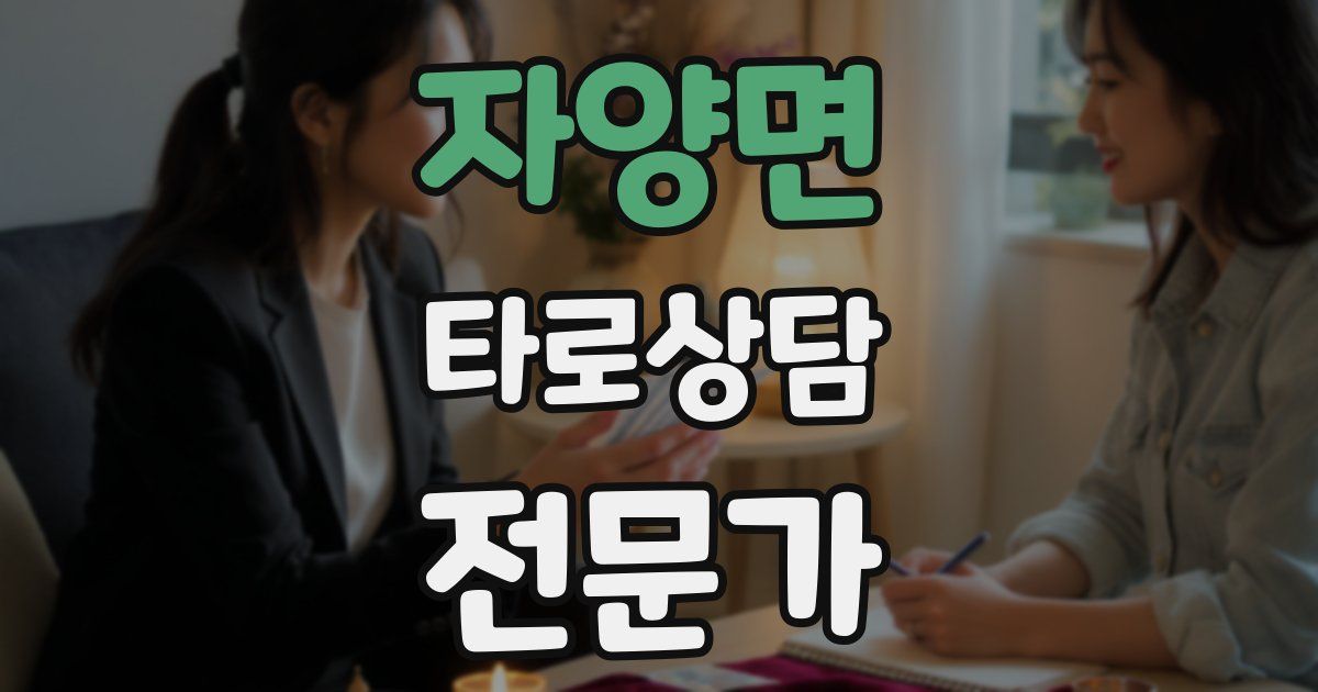 자양면 타로상담전문가 자격증