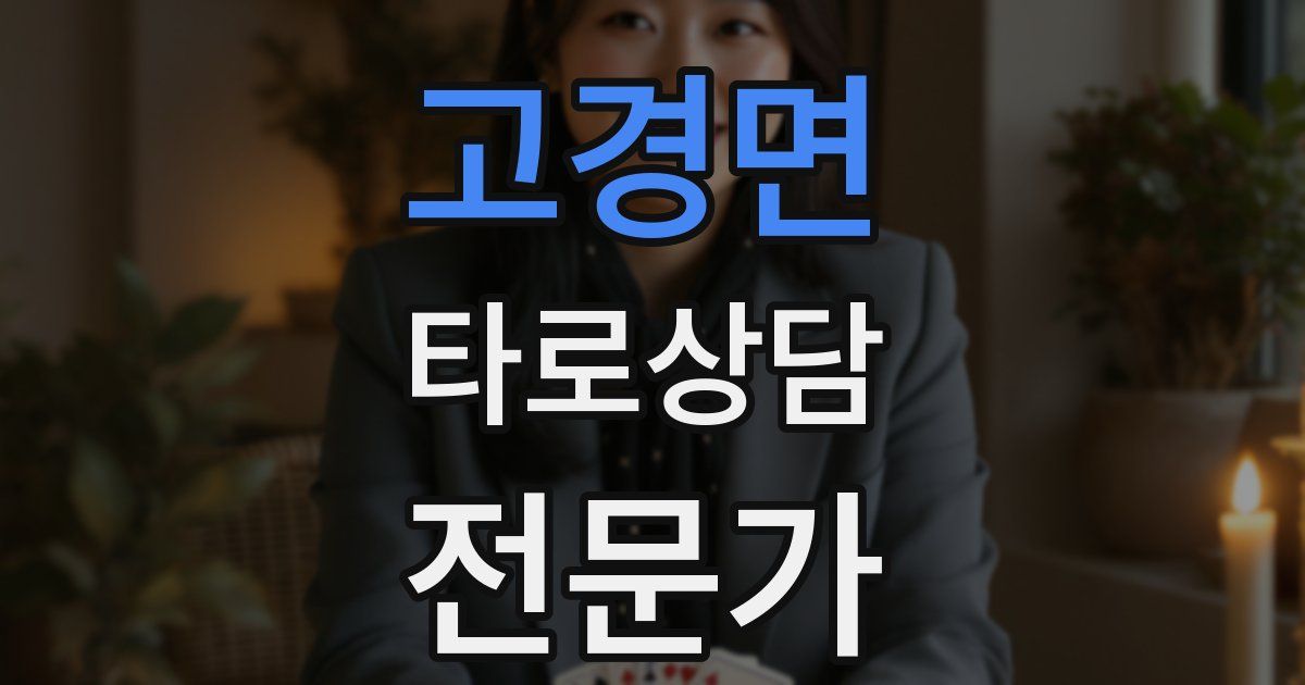 고경면 타로상담전문가 자격증