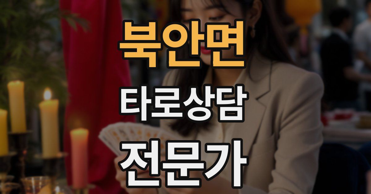 북안면 타로상담전문가 자격증