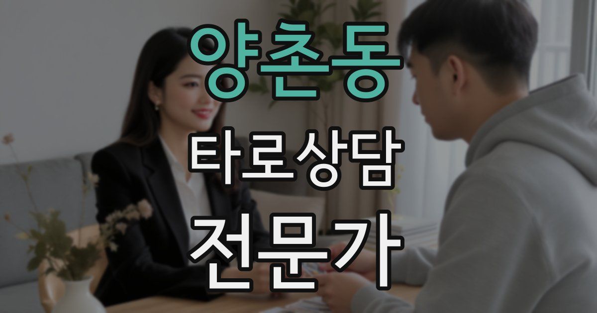 양촌동 타로상담전문가 자격증