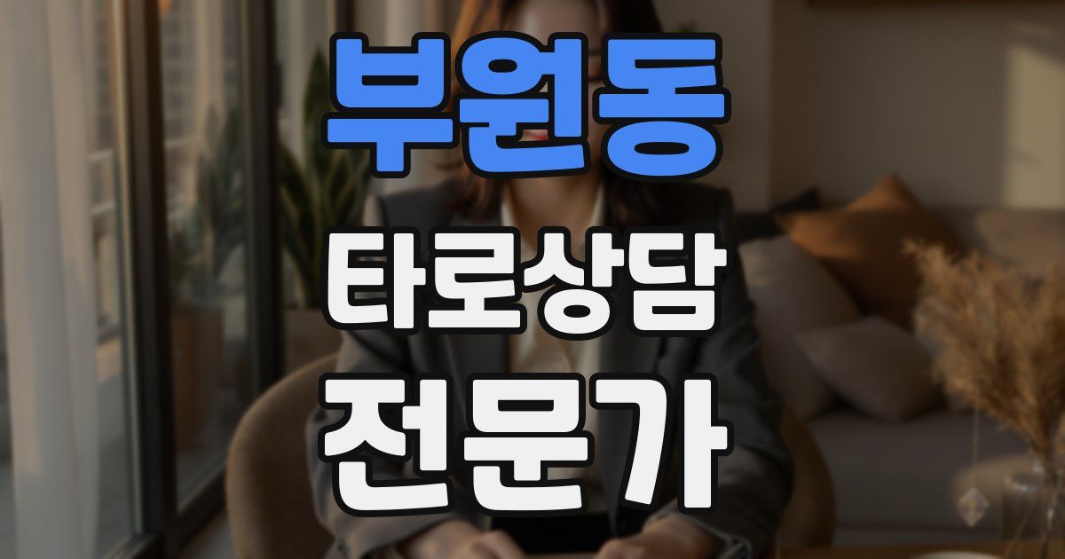 부원동 타로상담전문가 자격증