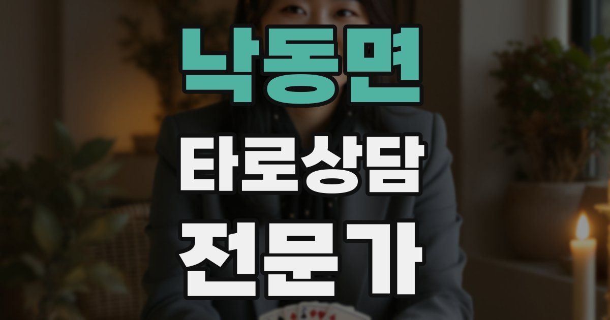 낙동면 타로상담전문가 자격증