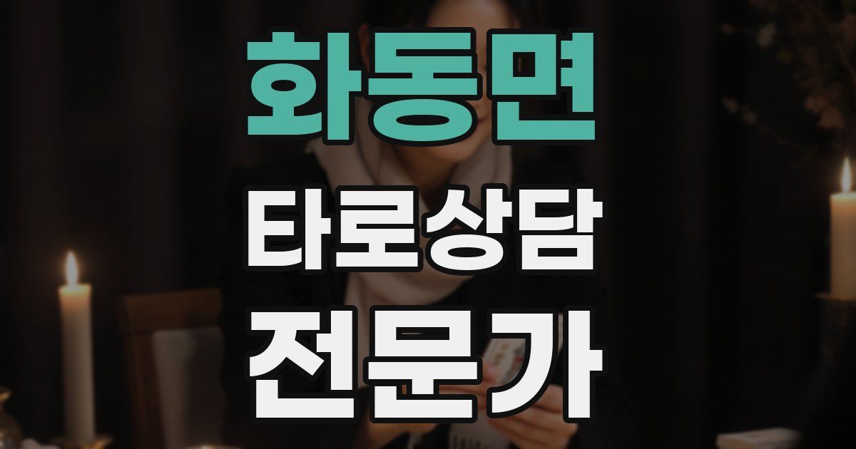 화동면 타로상담전문가 자격증