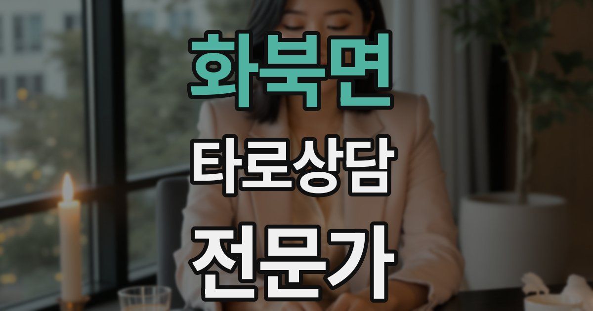 화북면 타로상담전문가 자격증