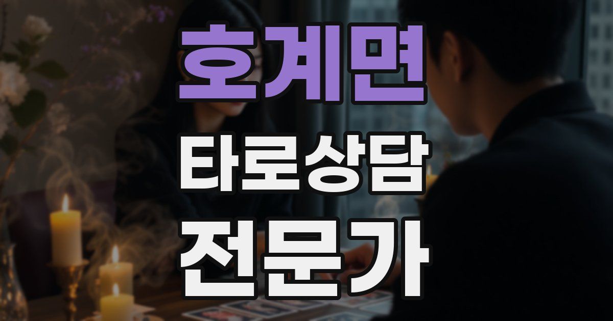 호계면 타로상담전문가 자격증