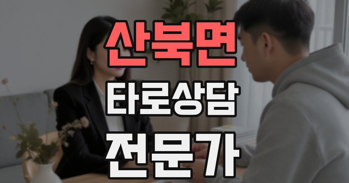 산북면 타로상담전문가 자격증