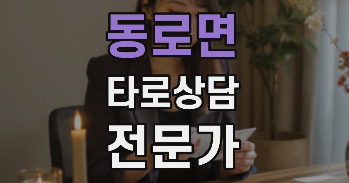 동로면 타로상담전문가 자격증