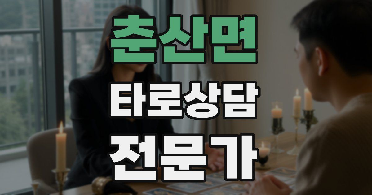 춘산면 타로상담전문가 자격증