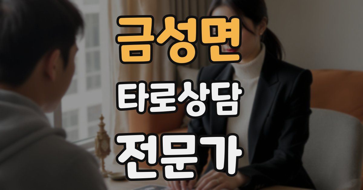 금성면 타로상담전문가 자격증