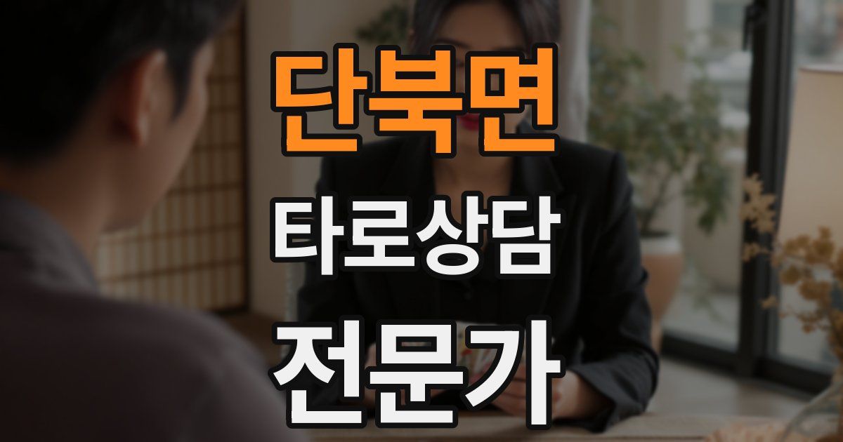 단북면 타로상담전문가 자격증