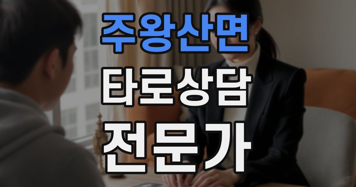 주왕산면 타로상담전문가 자격증