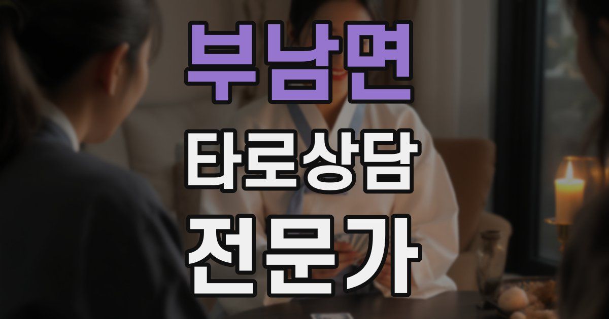 부남면 타로상담전문가 자격증