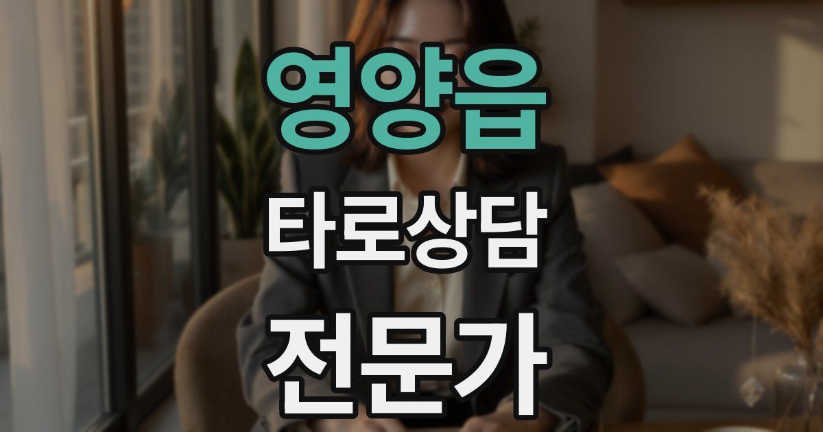 영양읍 타로상담전문가 자격증