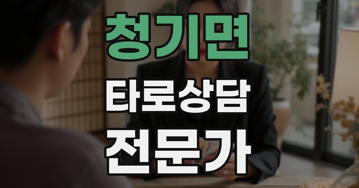 청기면 타로상담전문가 자격증