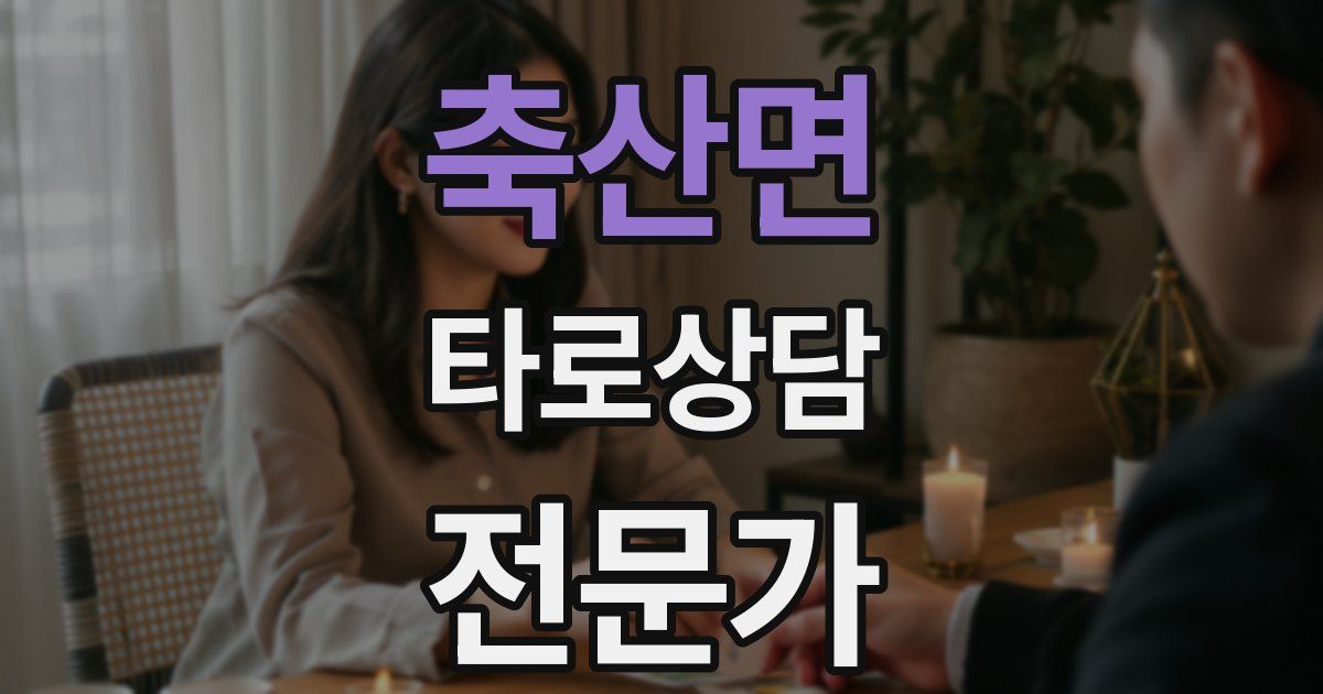 축산면 타로상담전문가 자격증