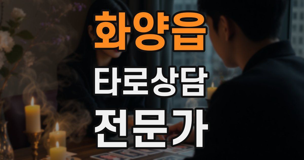 화양읍 타로상담전문가 자격증