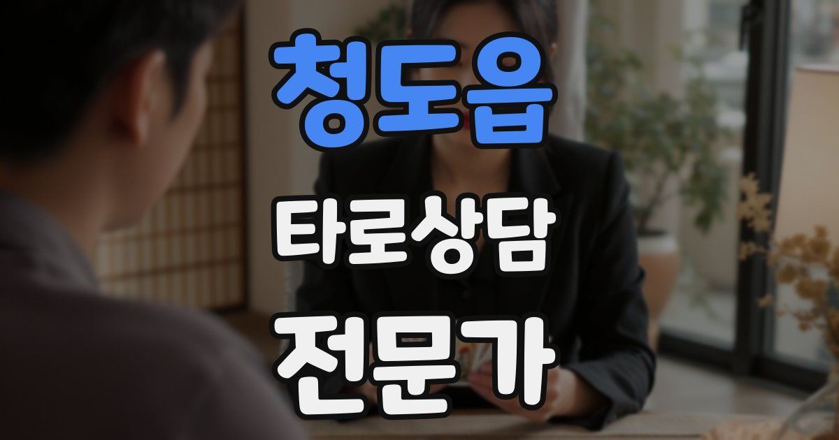 청도읍 타로상담전문가 자격증