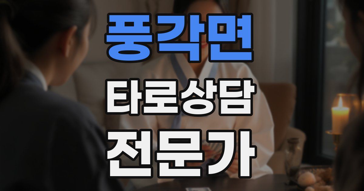풍각면 타로상담전문가 자격증