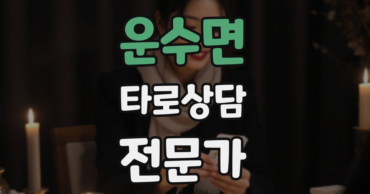 운수면 타로상담전문가 자격증