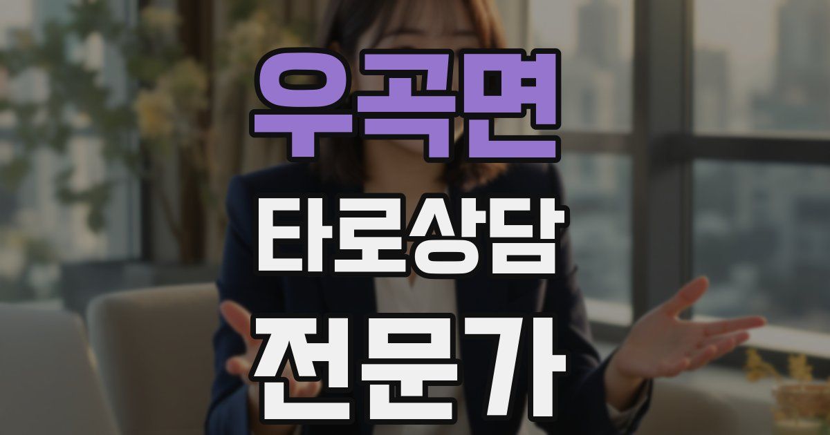 우곡면 타로상담전문가 자격증