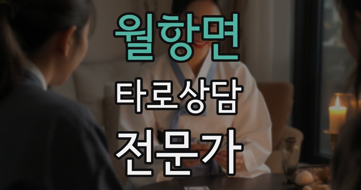 월항면 타로상담전문가 자격증