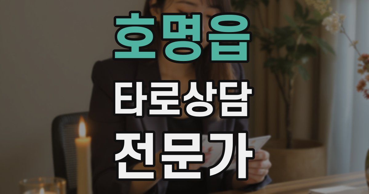 호명읍 타로상담전문가 자격증