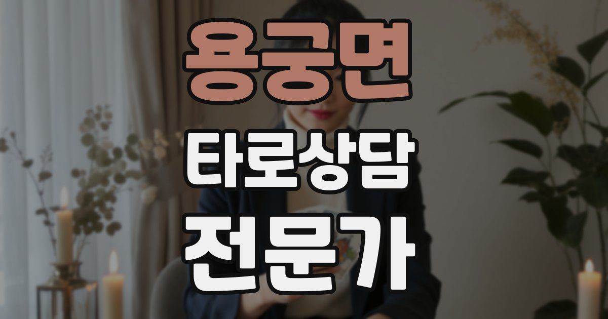 용궁면 타로상담전문가 자격증