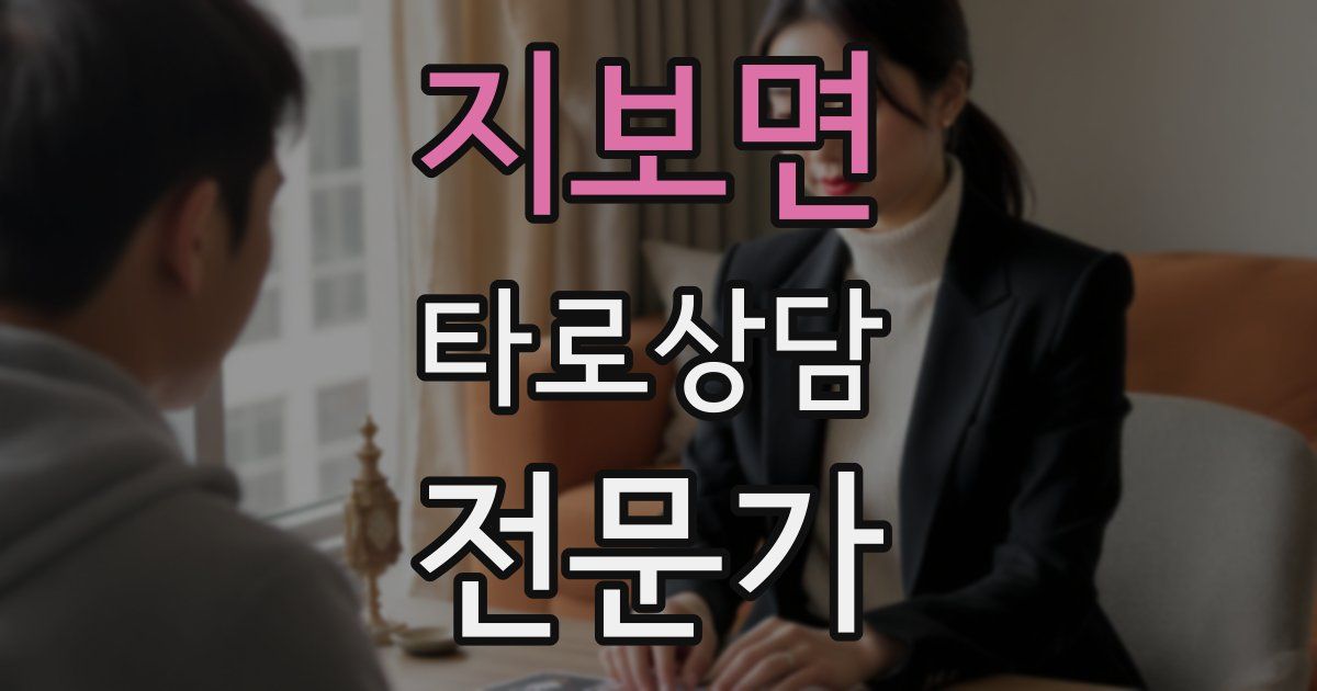 지보면 타로상담전문가 자격증
