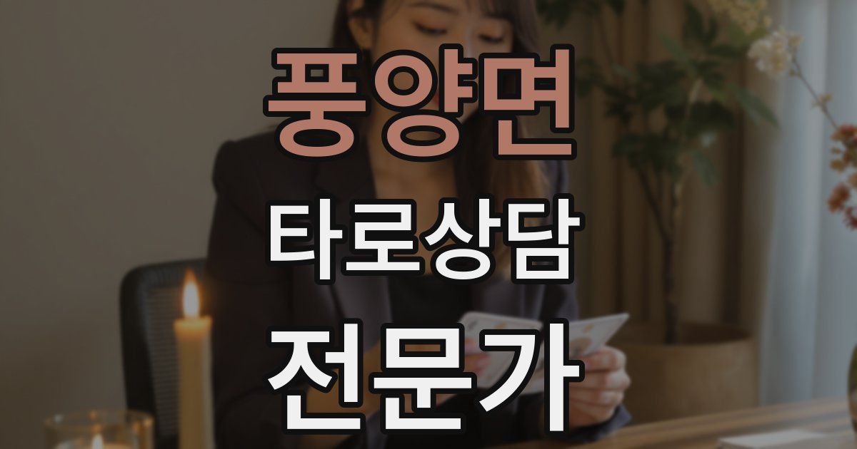 풍양면 타로상담전문가 자격증
