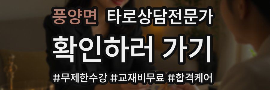 풍양면 타로상담전문가 자격증