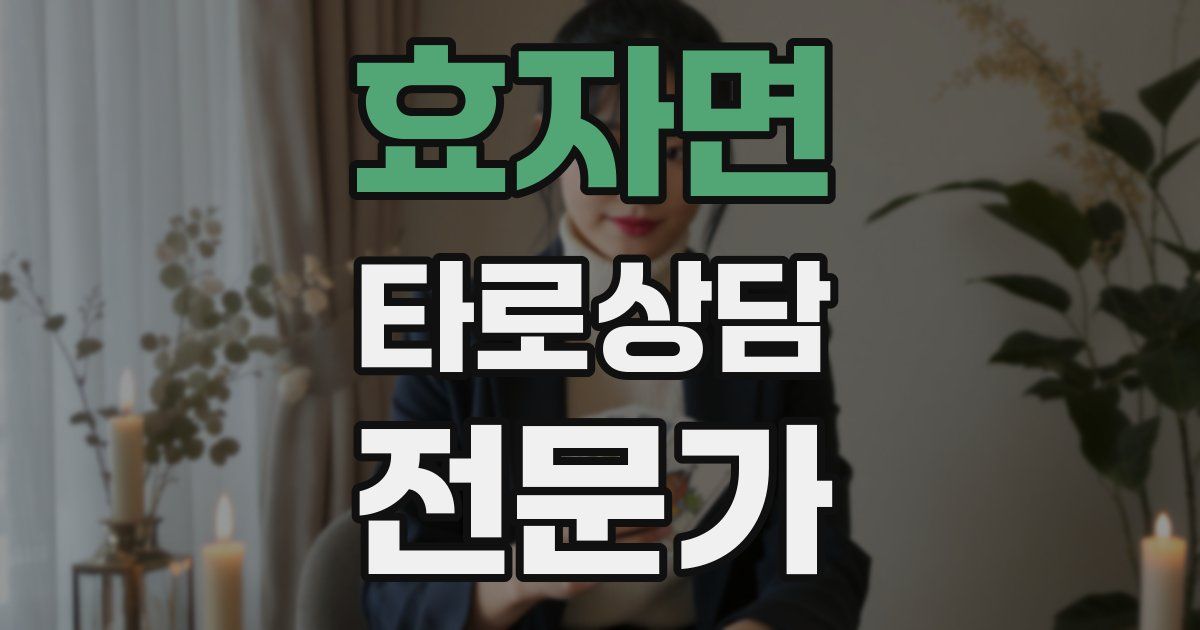 효자면 타로상담전문가 자격증