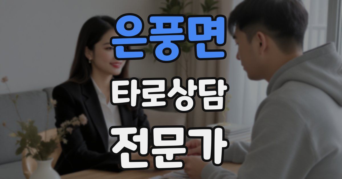 은풍면 타로상담전문가 자격증