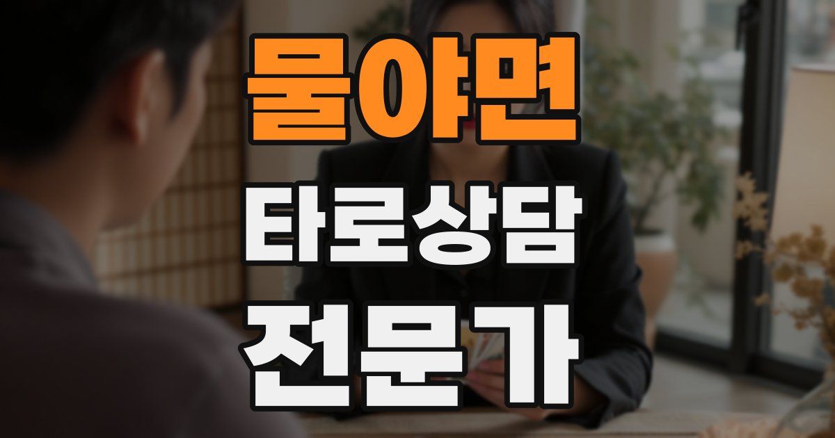 물야면 타로상담전문가 자격증