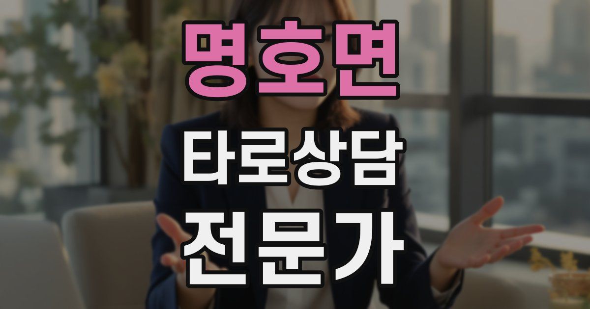 명호면 타로상담전문가 자격증