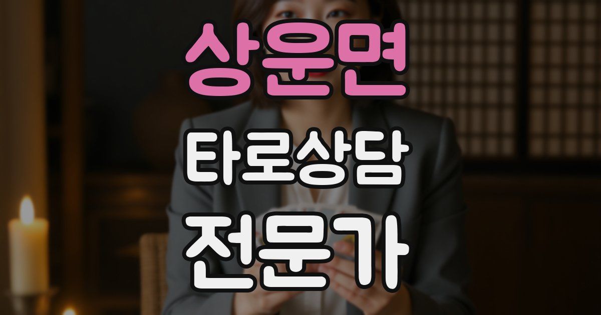 상운면 타로상담전문가 자격증