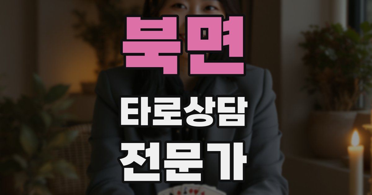 북면 타로상담전문가 자격증