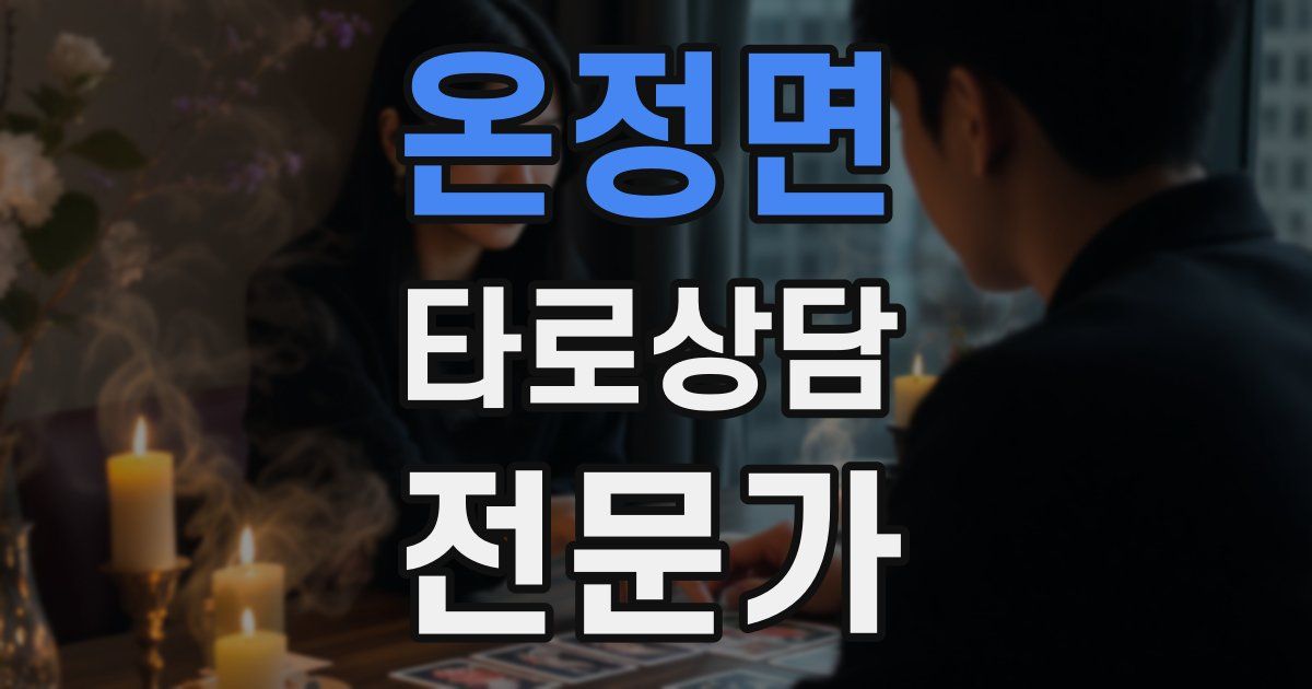 온정면 타로상담전문가 자격증