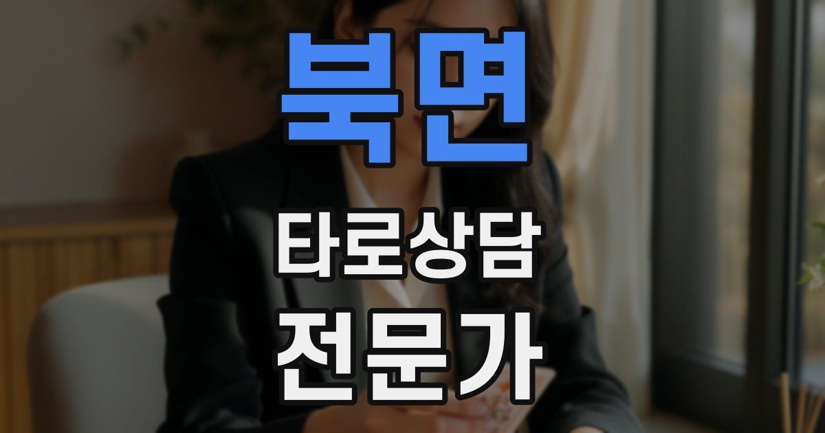 북면 타로상담전문가 자격증