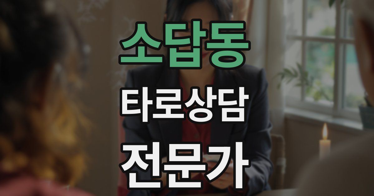 소답동 타로상담전문가 자격증