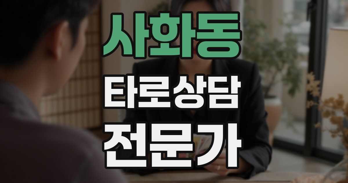 사화동 타로상담전문가 자격증
