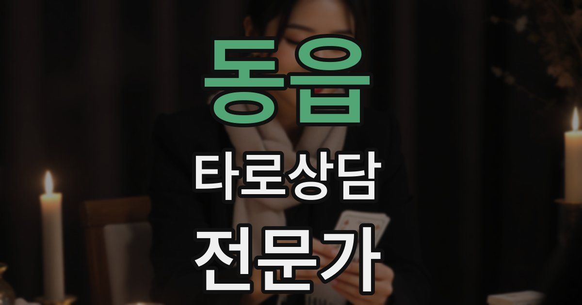 동읍 타로상담전문가 자격증
