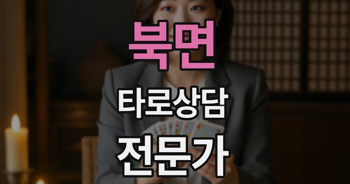 북면 타로상담전문가 자격증